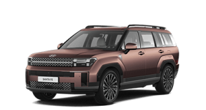 첫차 구매자가 현대 영업사원...